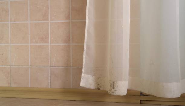  Baltic, CT Mold Removal Pros