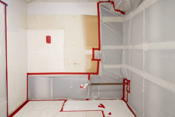 Best Forensic Mold Investigation  in Baltic, CT