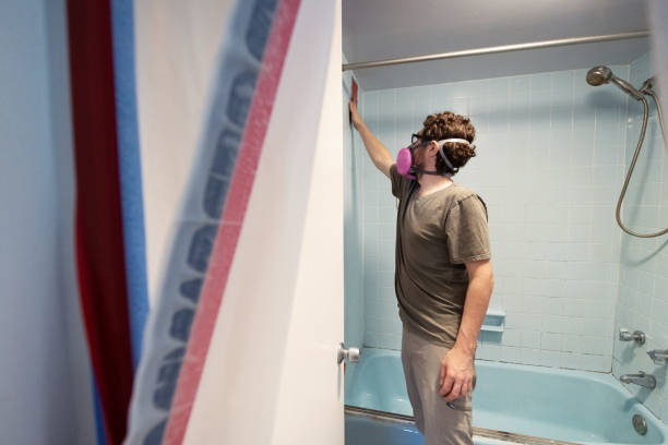 Biohazard Mold Removal in Baltic, CT
