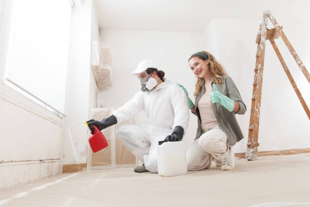 Best Biohazard Mold Removal  in Baltic, CT