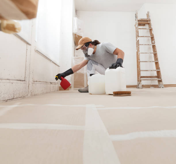 Best Mold Remediation for Rental Properties  in Baltic, CT